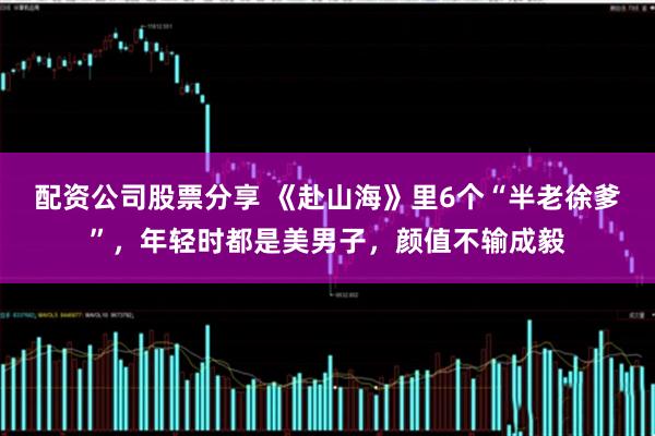 配资公司股票分享 《赴山海》里6个“半老徐爹”,年轻时都是美男子,颜值不输成毅