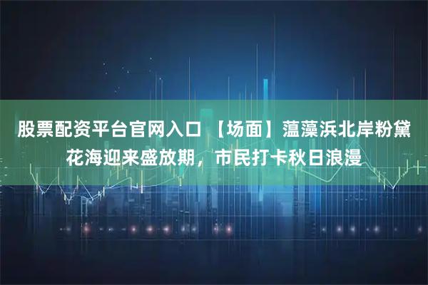 股票配资平台官网入口 【场面】蕰藻浜北岸粉黛花海迎来盛放期，市民打卡秋日浪漫